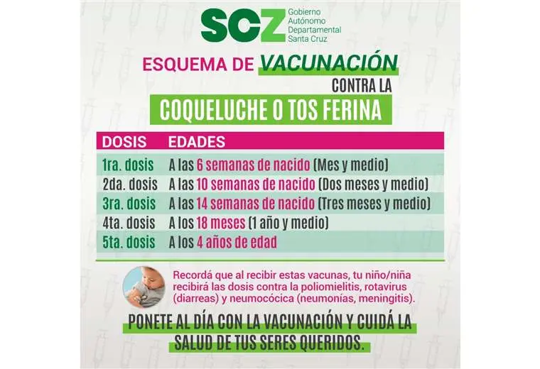 Vacuna contra la Tosferina: Todo lo que necesitas saber - Cuándo se pone la vacuna del coqueluche vacuna coqueluche - Cuándo se pone la vacuna del coqueluche