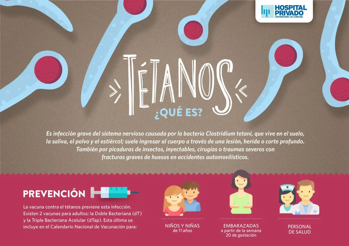 Doble Bacteriana: Todo lo que Necesitas Saber - Cuántas dosis son de la vacuna antitetánica en adultos doble bacteriana - Cuántas dosis son de la vacuna antitetánica en adultos