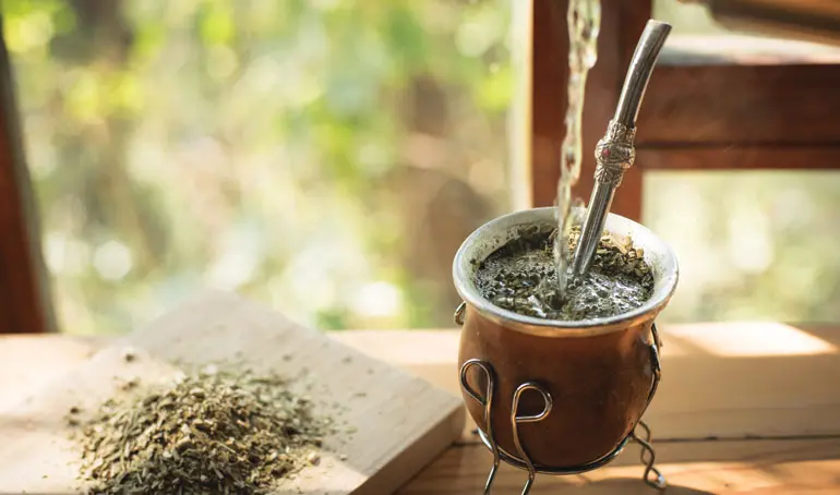 Mate: Beneficios, Desventajas y Cuándo Moderar su Consumo - Cuántas veces al día se puede tomar mate tomar mate - Cuántas veces al día se puede tomar mate