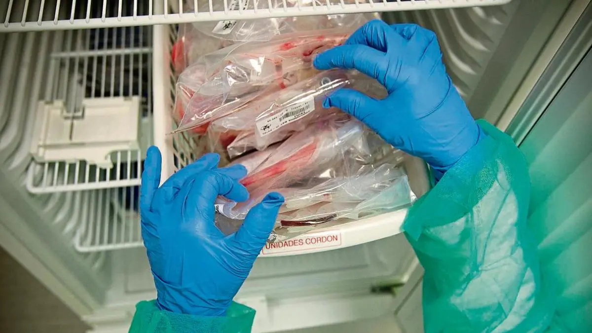 Banco de células madre: ¿Cuánto cuesta almacenar la sangre del cordón umbilical? - Cuánto cuesta almacenar células madre banco de celulas madre - Cuánto cuesta almacenar células madre