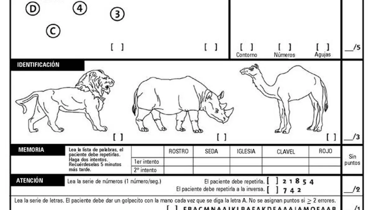 Test Neurocognitivo Gratis: ¿Cómo Acceder a una Evaluación Completa? - Cuánto cuesta un test neurocognitivo test neurocognitivo gratis - Cuánto cuesta un test neurocognitivo