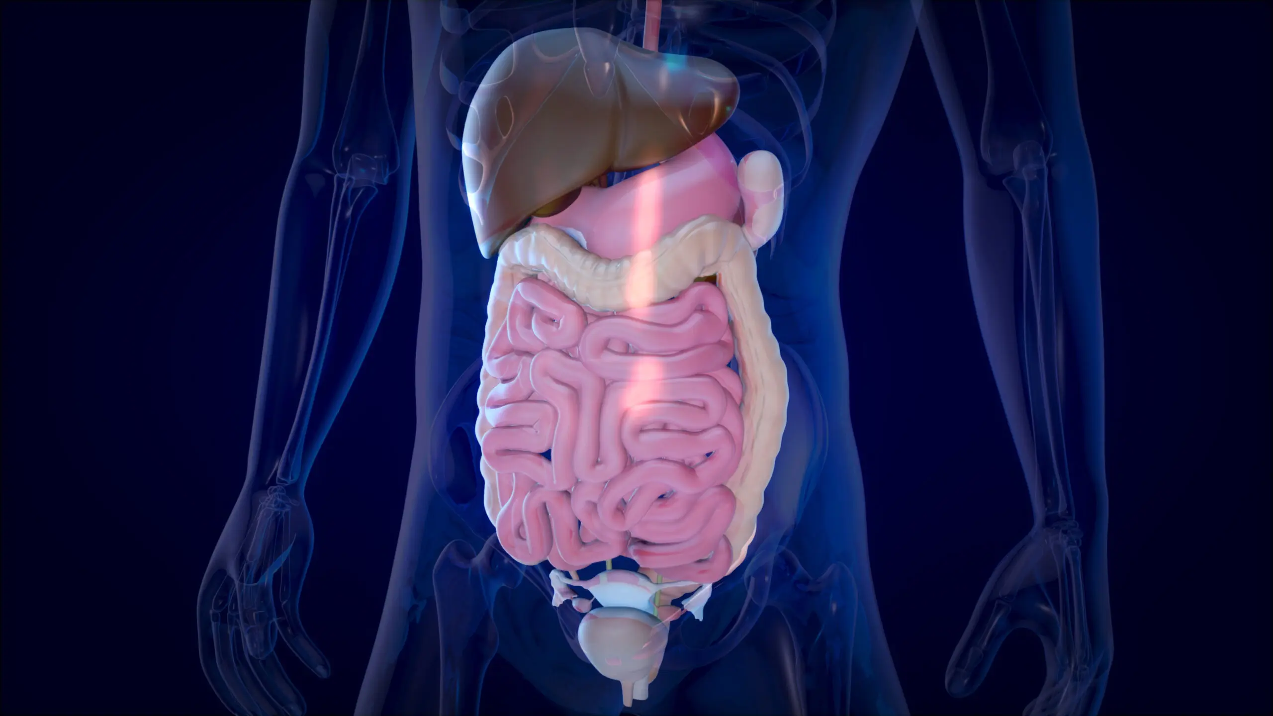 Ecoendoscopia: Explorando el Aparato Digestivo con Precisión - Cuánto cuesta una eco endoscopia ecoendoscopia - Cuánto cuesta una eco endoscopia