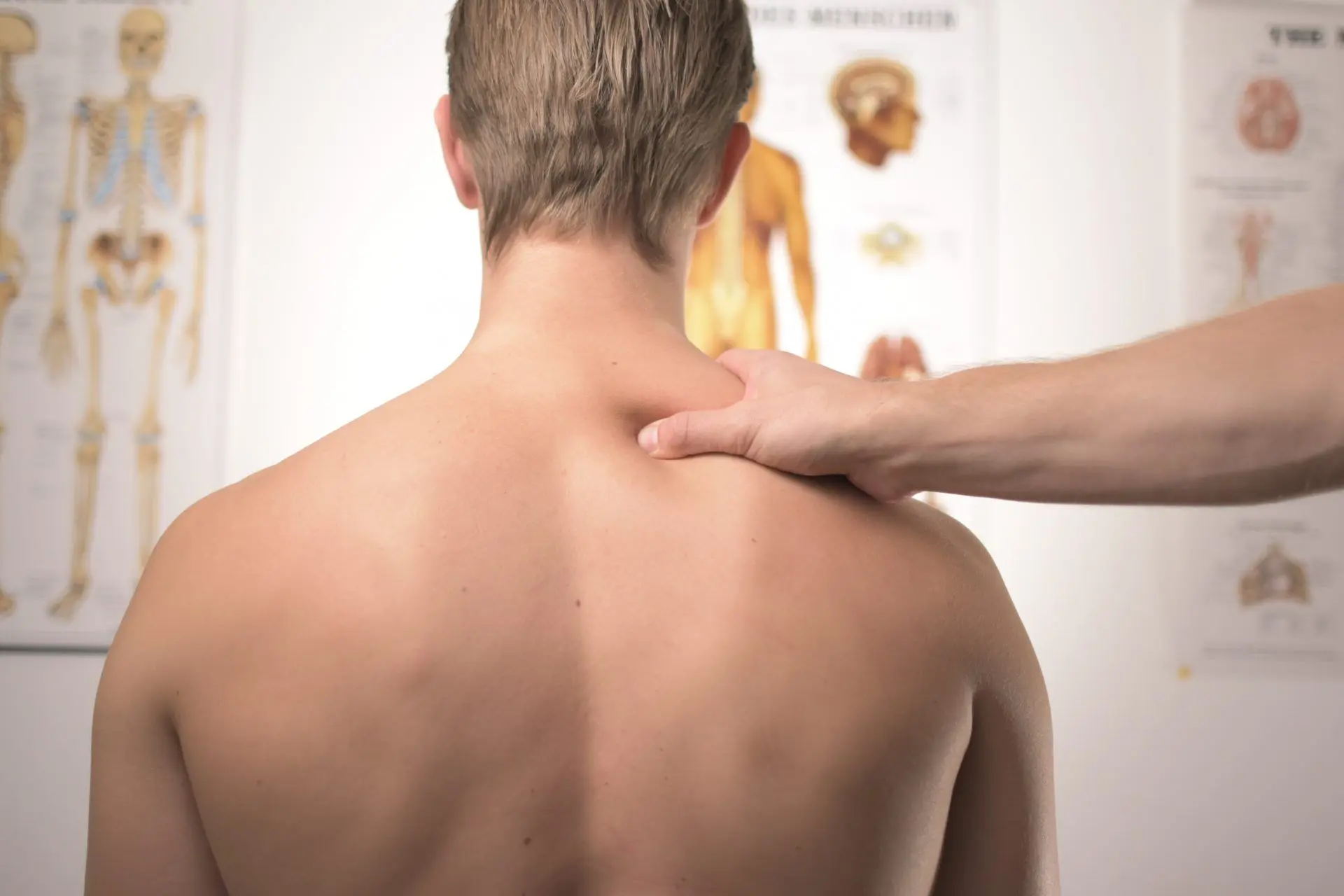 Osteopatía: Duración de la Carrera, Formación y Salidas Profesionales - Cuánto dura la carrera de osteópata osteopata estudiar - Cuánto dura la carrera de osteópata
