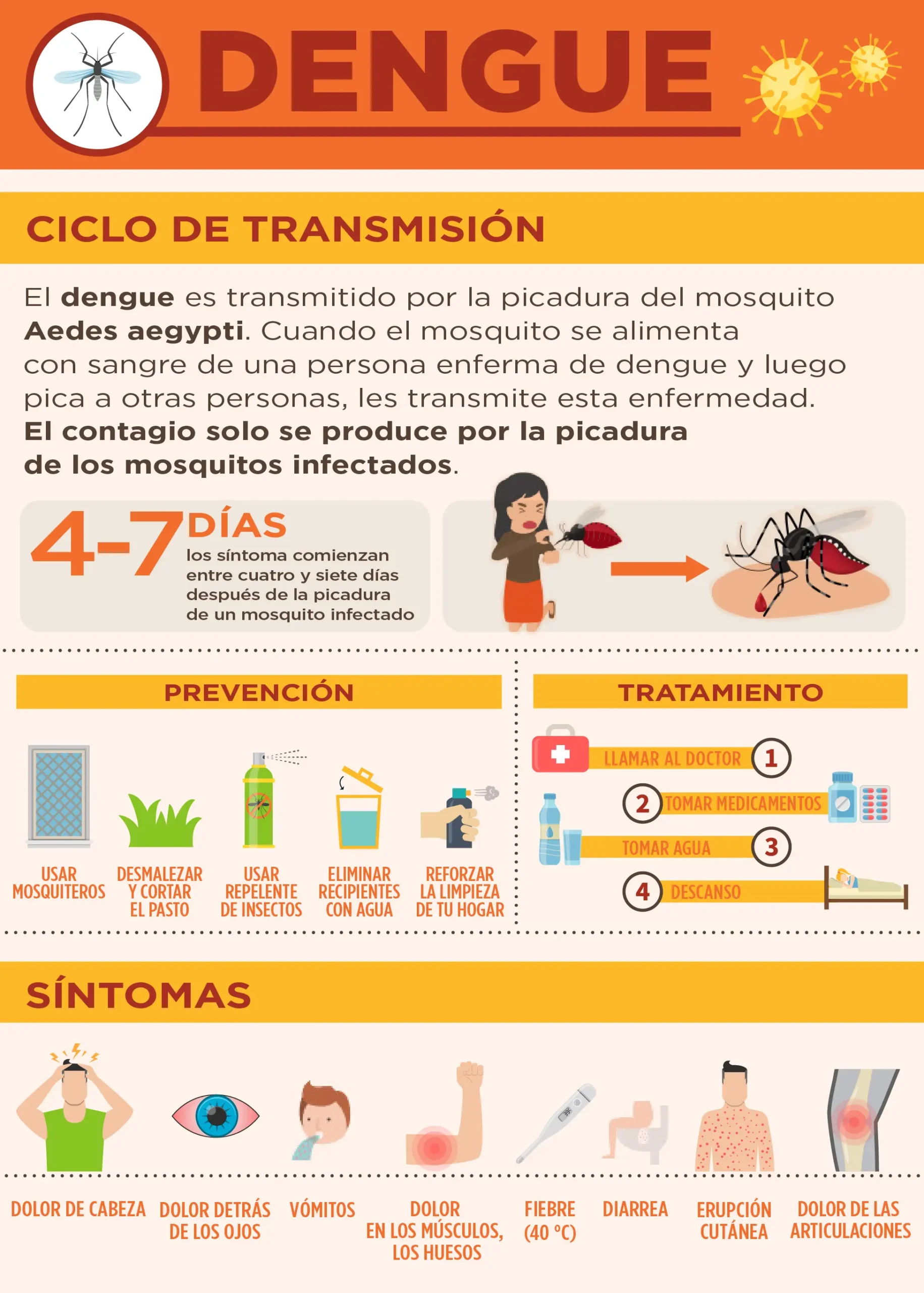 Fiebre Quebrantahuesos: Causas, Síntomas y Tratamiento - Cuánto dura la fiebre de los quebrantahuesos fiebre quebranta huesos - Cuánto dura la fiebre de los quebrantahuesos