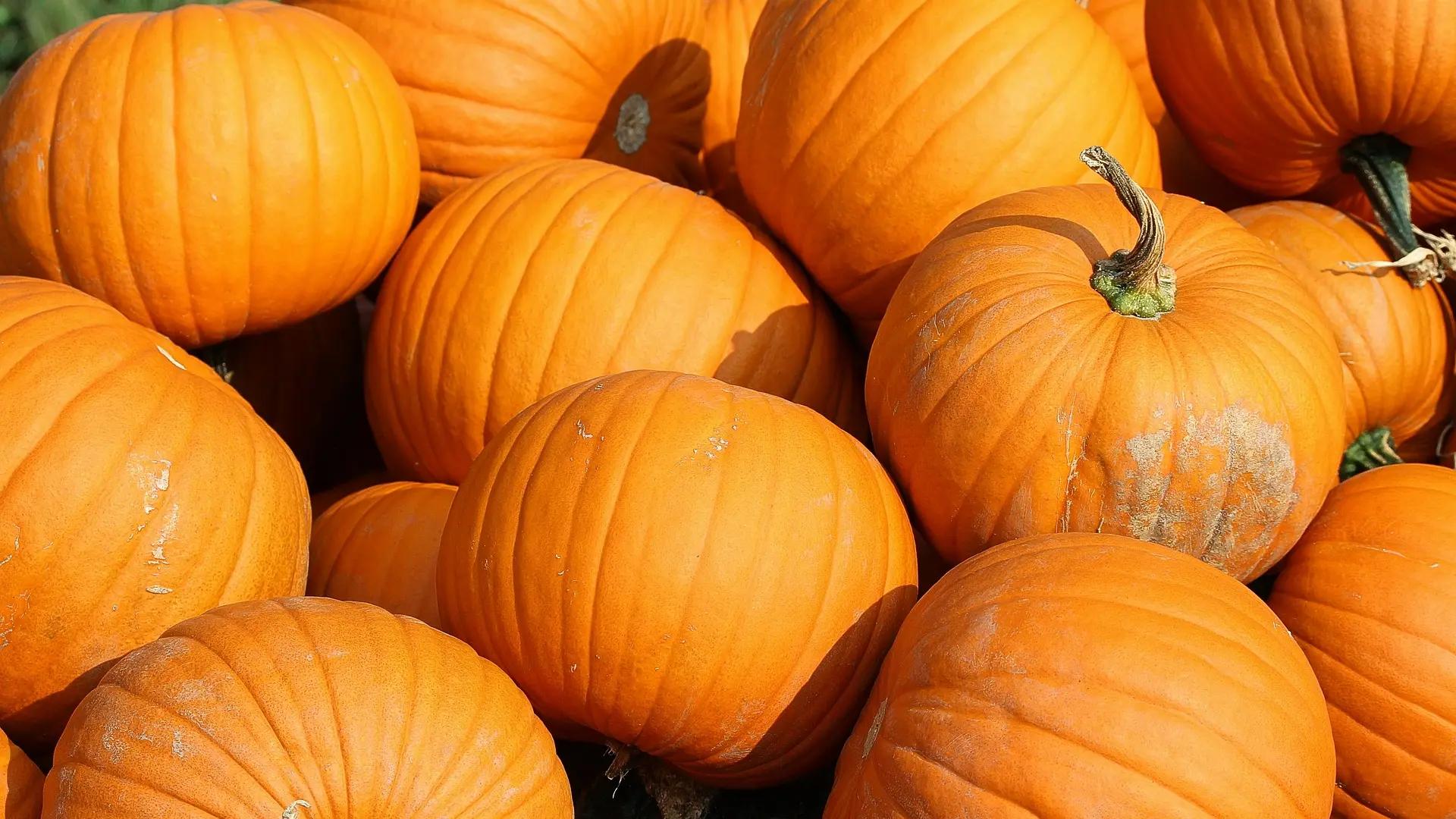Calabaza al Horno: Beneficios, Recetas y Cómo Cocinarla - Cuánto tiempo se hace una calabaza calabaza al horno - Cuánto tiempo se hace una calabaza