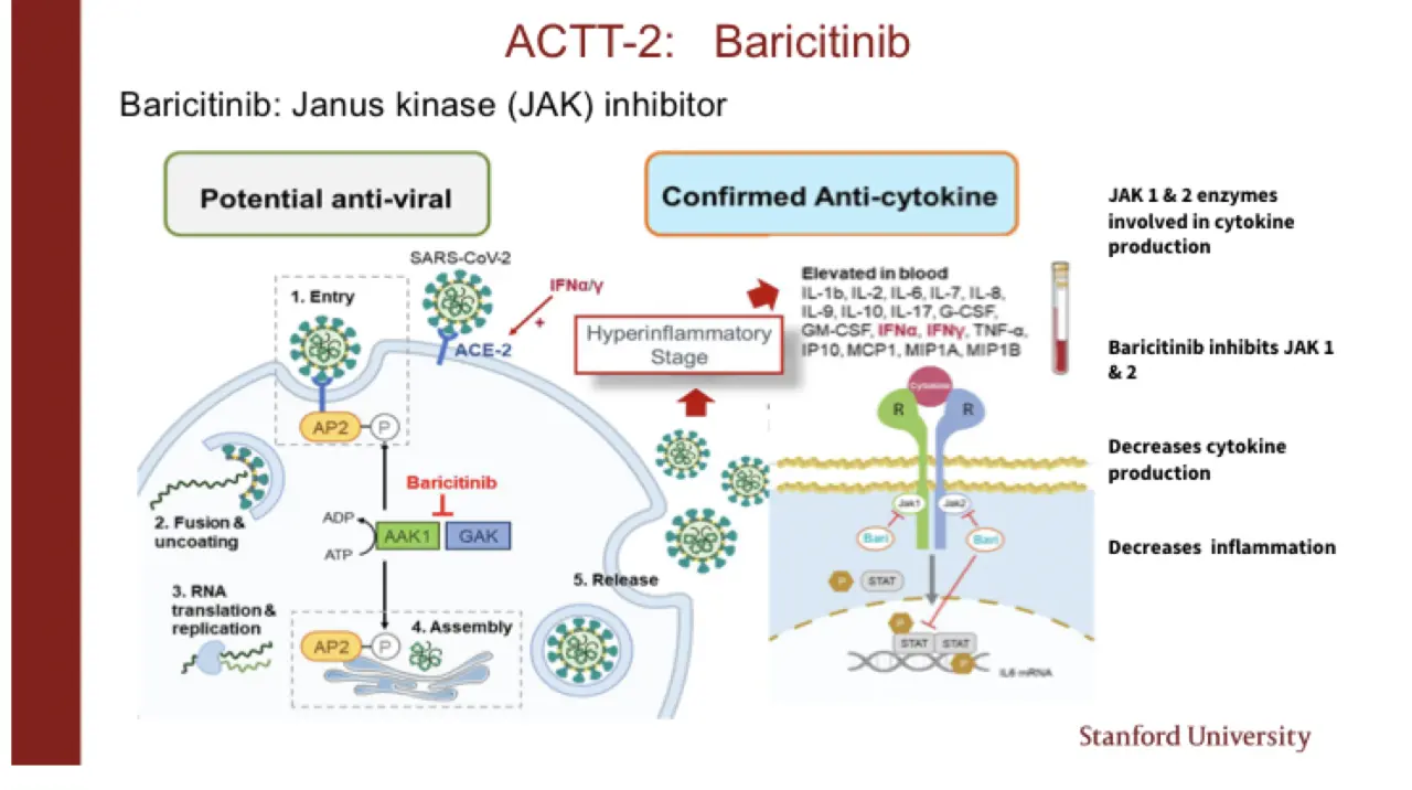 Baricitinib: Un Medicamento para Combatir la COVID-19, Pero con Precauciones - Cuánto vale el baricitinib baricitinib - Cuánto vale el baricitinib
