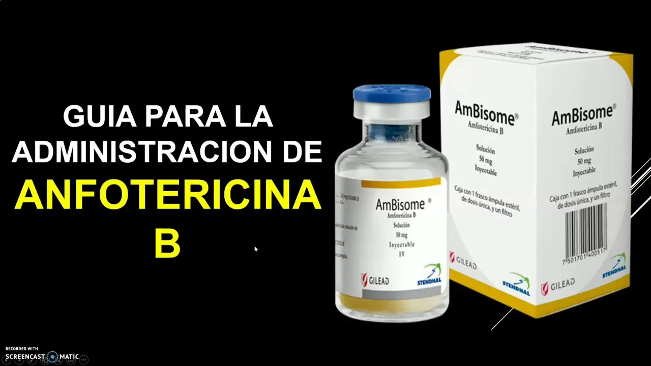 Anfotericina B: Un Antifúngico de Amplio Espectro y Sus Aplicaciones - Dónde actúa la anfotericina B anfotericina b - Dónde actúa la anfotericina B