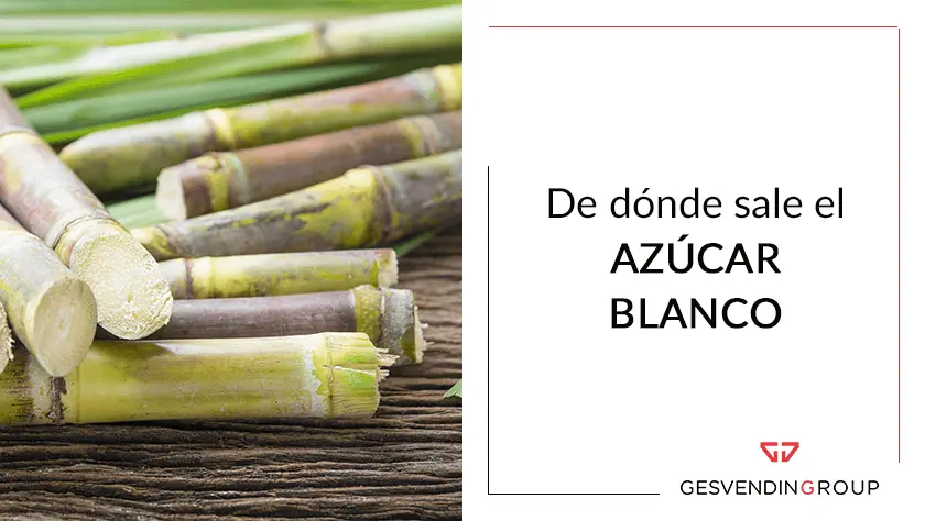 Dónde se produce el azúcar en Argentina: Un recorrido por el proceso - Dónde se produce el azúcar en Argentina donde se produce el azucar - Dónde se produce el azúcar en Argentina