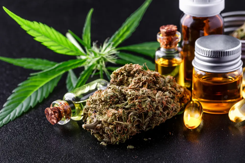 Cannabidiol (CBD): Un análisis completo de sus usos, efectos y seguridad - El CBD se considera una droga canabidiol - El CBD se considera una droga
