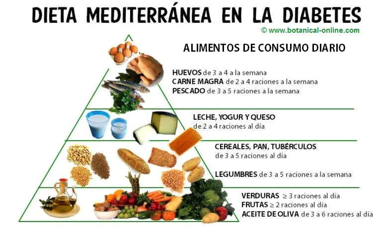 Dieta Mediterránea para Diabéticos: Beneficios, Plan de Comidas y Consejos - Es buena la dieta mediterránea para un diabético dieta mediterranea para diabeticos - Es buena la dieta mediterránea para un diabético