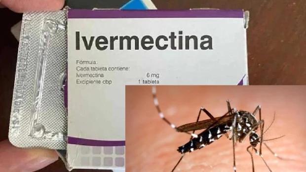 Ivermectina contra el dengue: Un posible tratamiento combinatorio - La ivermectina ayuda contra el dengue ivermectina y dengue - La ivermectina ayuda contra el dengue