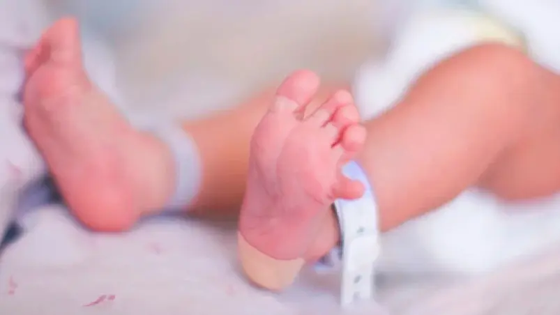 Potasio en Bebés: Guía Completa para Padres - Por qué los bebés tienen alto nivel de potasio potasio en bebes - Por qué los bebés tienen alto nivel de potasio