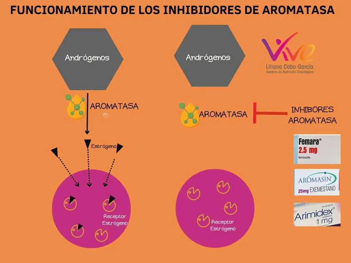 Anastrozol y Aumento de Peso: ¿Existe una Relación? - Por qué se aumenta de peso con anastrozol el anastrozol engorda - Por qué se aumenta de peso con anastrozol