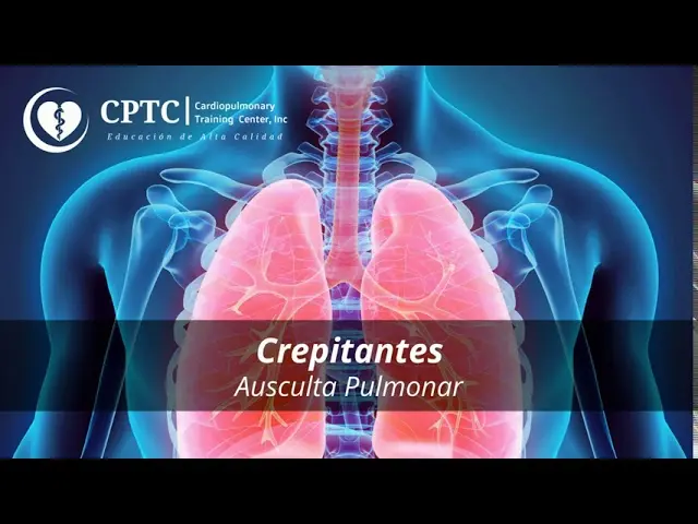 rales crepitantes - Por qué se producen los crepitos