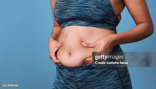 Grasa Abdominal en Mujeres: Cómo Eliminar la 'Panza Gorda' y Evitar su Regreso - Por qué tengo mucha barriga panza gorda - Por qué tengo mucha barriga