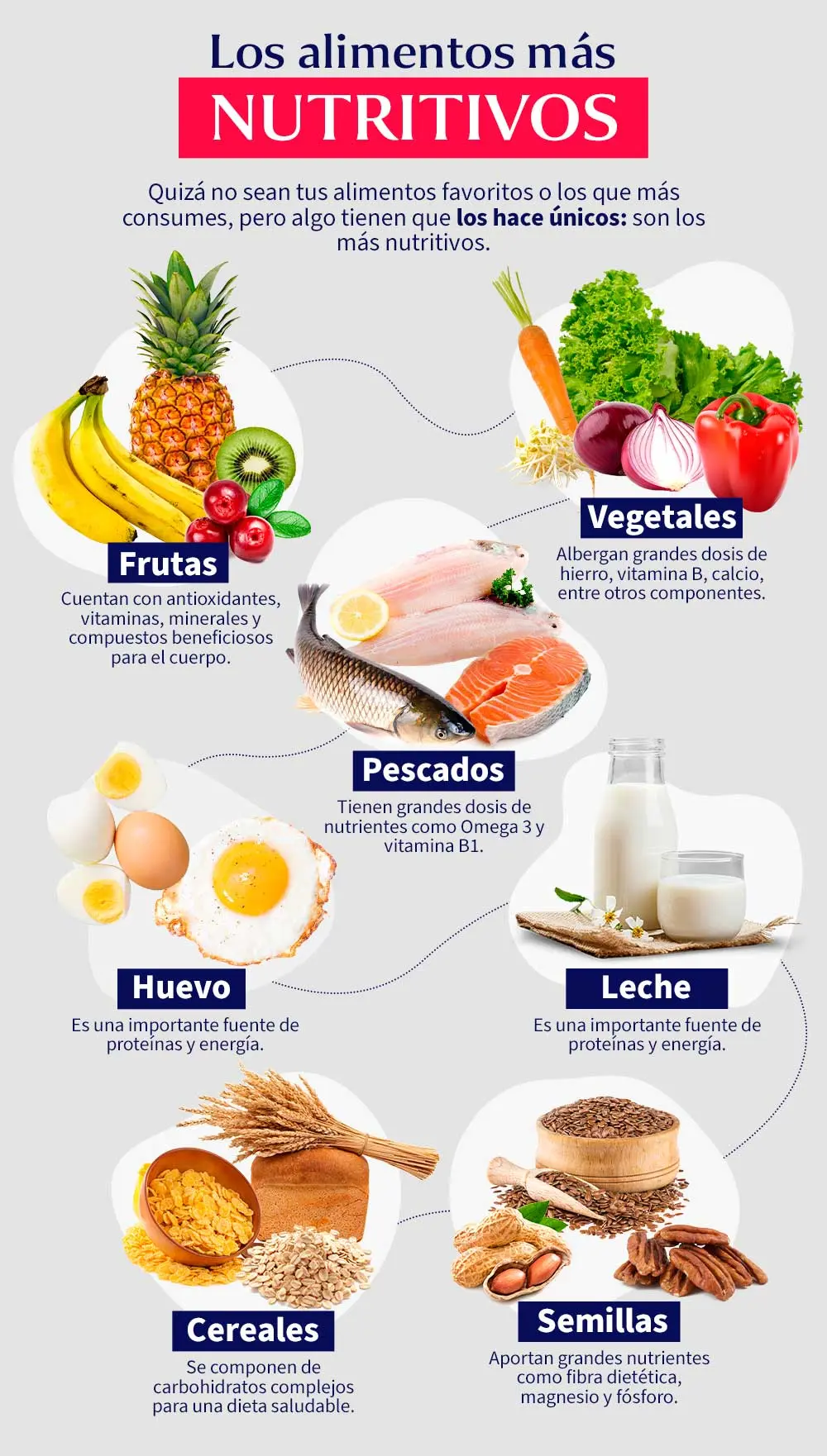 Qué alimentos son buenos para el cerebro: Guía completa para un cerebro sano - Qué alimentos son buenos para el cerebro qué alimento - Qué alimentos son buenos para el cerebro