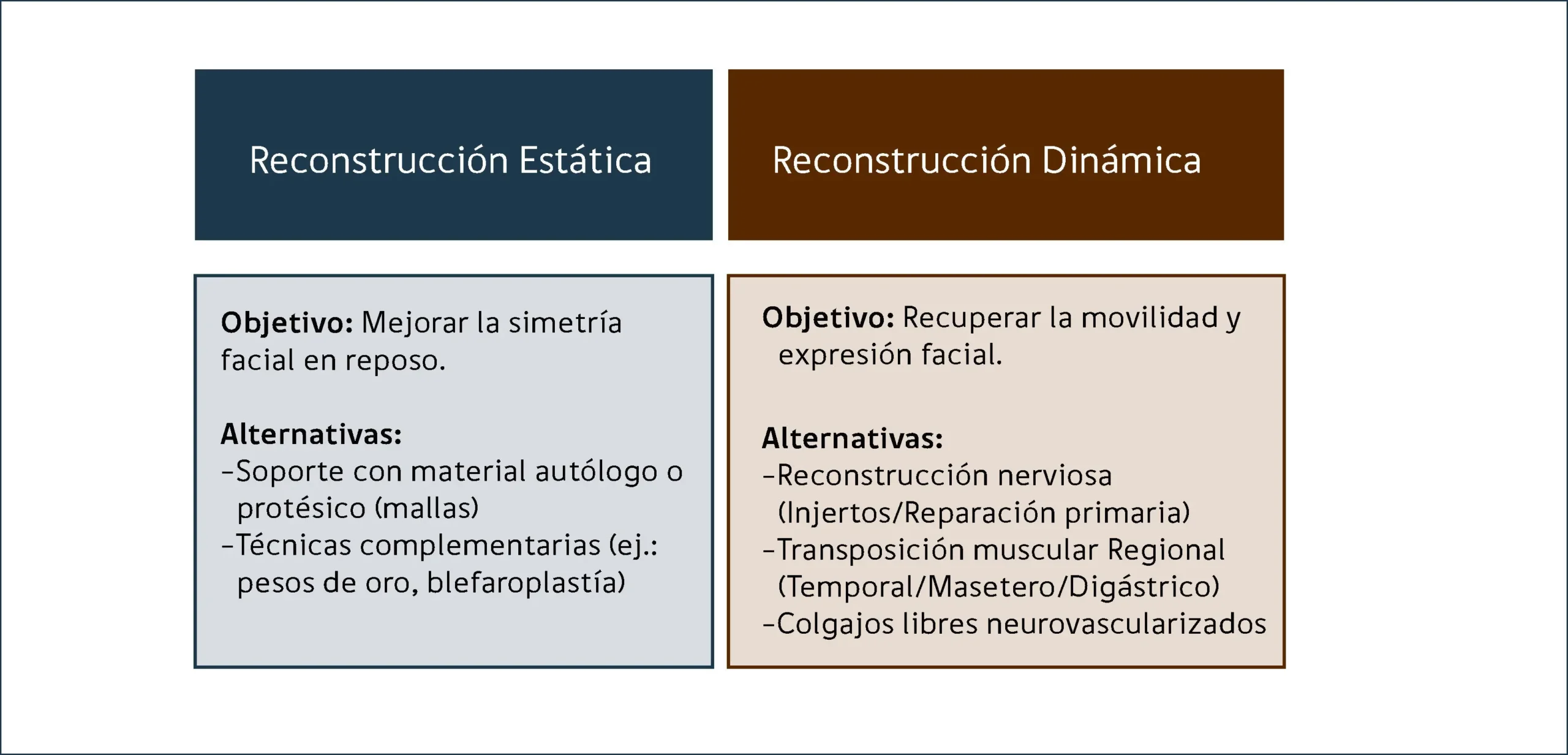 Parálisis Facial: Causas, Síntomas y Tratamiento - Qué ayuda a regenerar el nervio facial paralisis facial tratamiento - Qué ayuda a regenerar el nervio facial