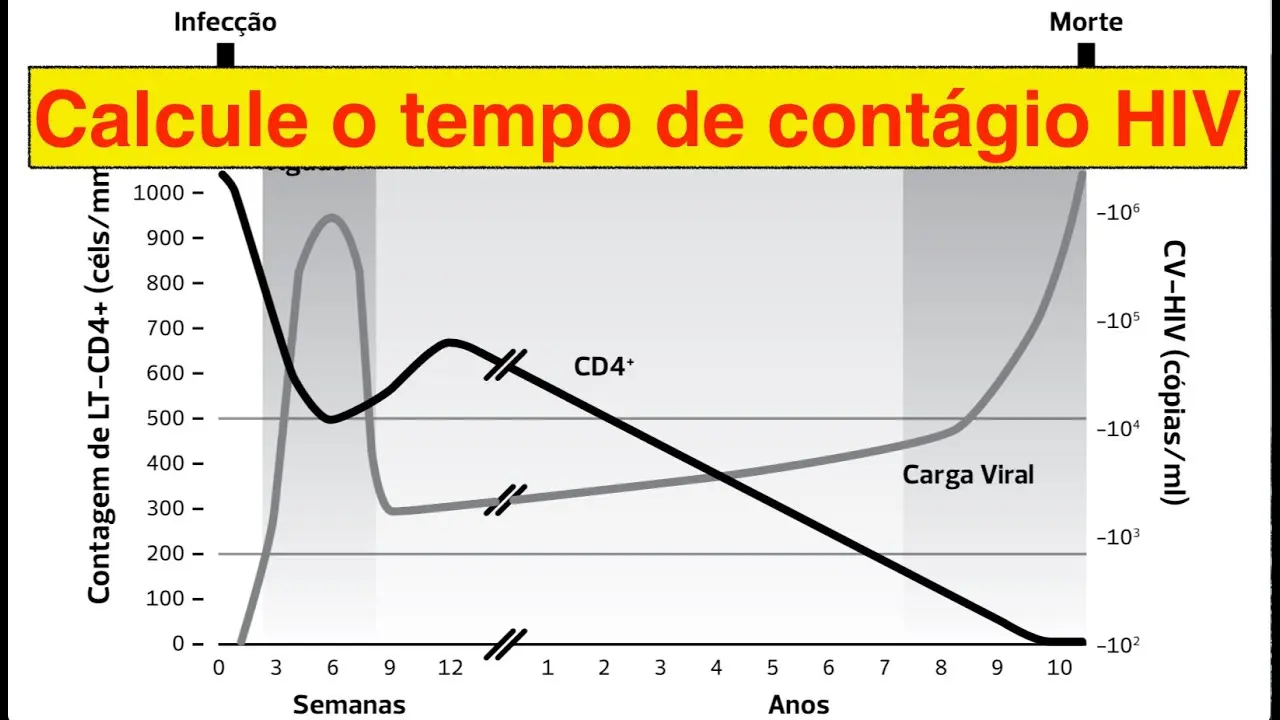 Carga Viral VIH: Todo lo que Necesitas Saber - Qué cantidad de carga viral se considera indetectable carga viral hiv - Qué cantidad de carga viral se considera indetectable