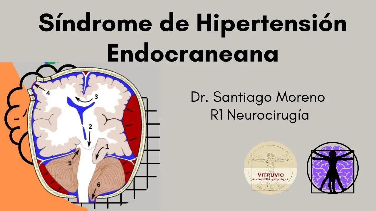 Síndrome de Hipertensión Endocraneana: Causas, Síntomas, Diagnóstico y Tratamiento - Qué caracteriza al síndrome de hipertensión endocraneana y cuál es su mecanismo de producción sindrome de hipertension endocraneana - Qué caracteriza al síndrome de hipertensión endocraneana y cuál es su mecanismo de producción