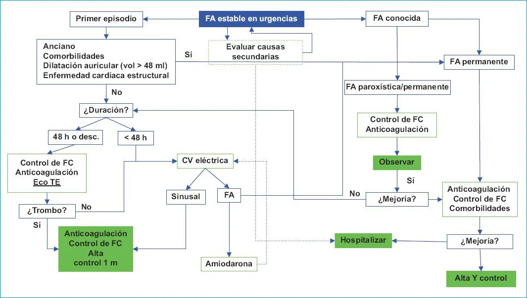 Fibrilación Auricular: Tratamiento y Manejo de una Arritmia Común - Qué debo hacer si tengo fibrilación auricular fibrilacion auricular tratamiento - Qué debo hacer si tengo fibrilación auricular