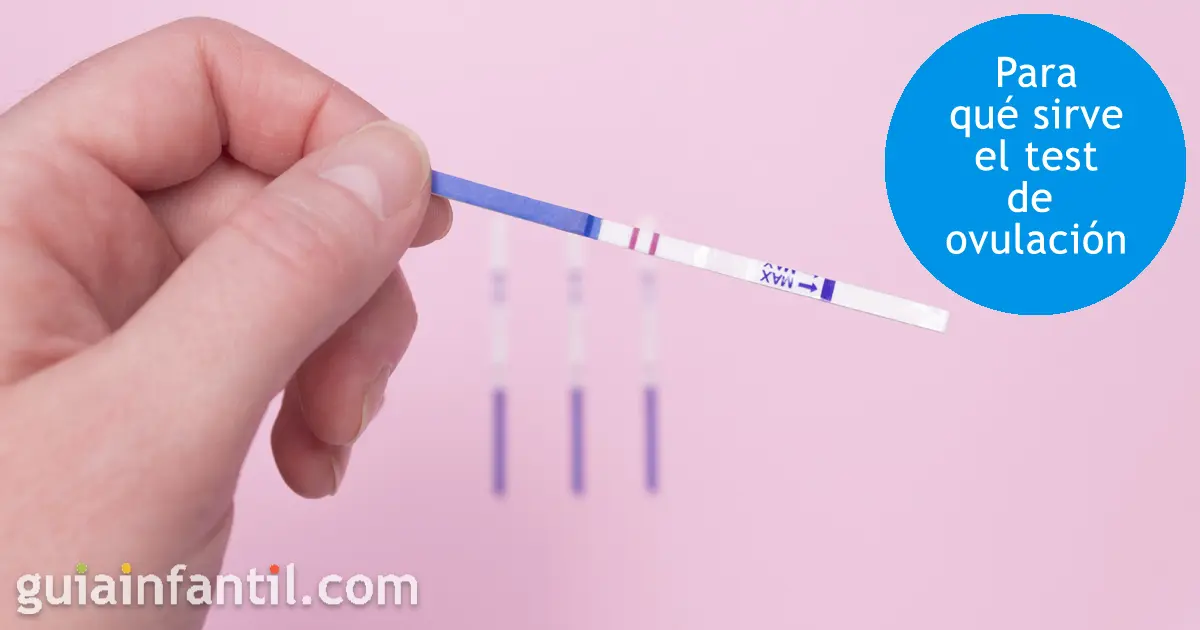 Detector de Ovulacion: La Clave Para Quedarte Embarazada Más Rápido - Qué detecta el test de ovulación detector de ovulacion - Qué detecta el test de ovulación