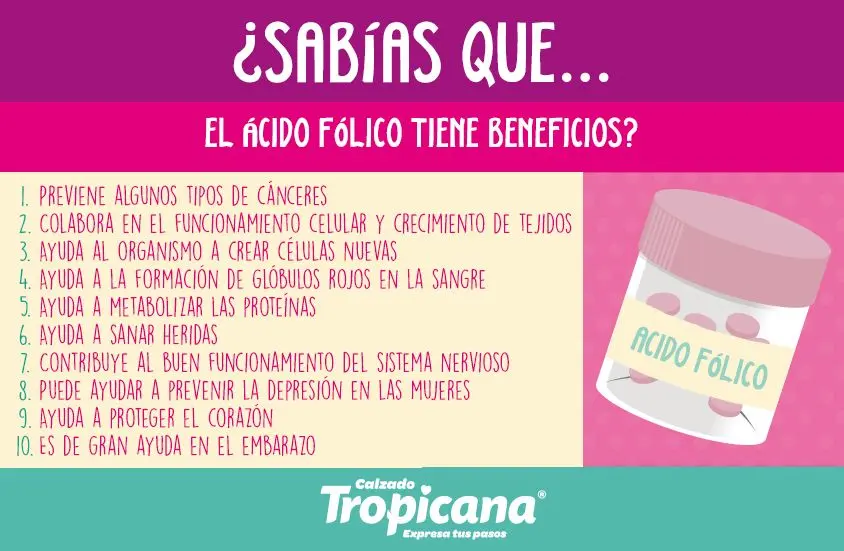 Ácido Fólico: Beneficios para tu Salud y Desarrollo Fetal - Qué enfermedades previene tomar ácido fólico acido folico beneficios - Qué enfermedades previene tomar ácido fólico
