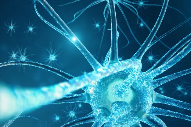 Encefalomiopatía: Un trastorno multisistémico progresivo - Qué enfermedades se producen por un mal funcionamiento de las mitocondrias encefalomiopatia - Qué enfermedades se producen por un mal funcionamiento de las mitocondrias