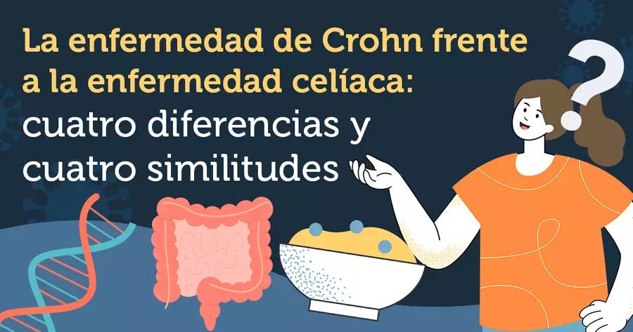 Síntomas de Celiaquía en Mujeres: Guía Completa para su Detección - Qué enfermedades se pueden confundir con celiaquía sintomas de celiacos en mujeres - Qué enfermedades se pueden confundir con celiaquía