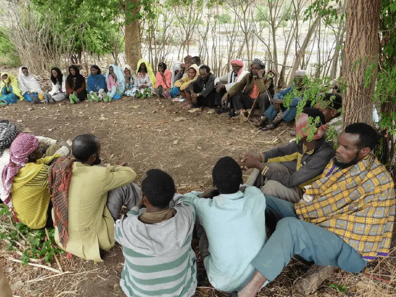 Tripanosomiasis Africana Humana: Una Enfermedad que Amenaza a Millones - Qué enfermedades son más comunes en África enfermedad de importancia en africa - Qué enfermedades son más comunes en África