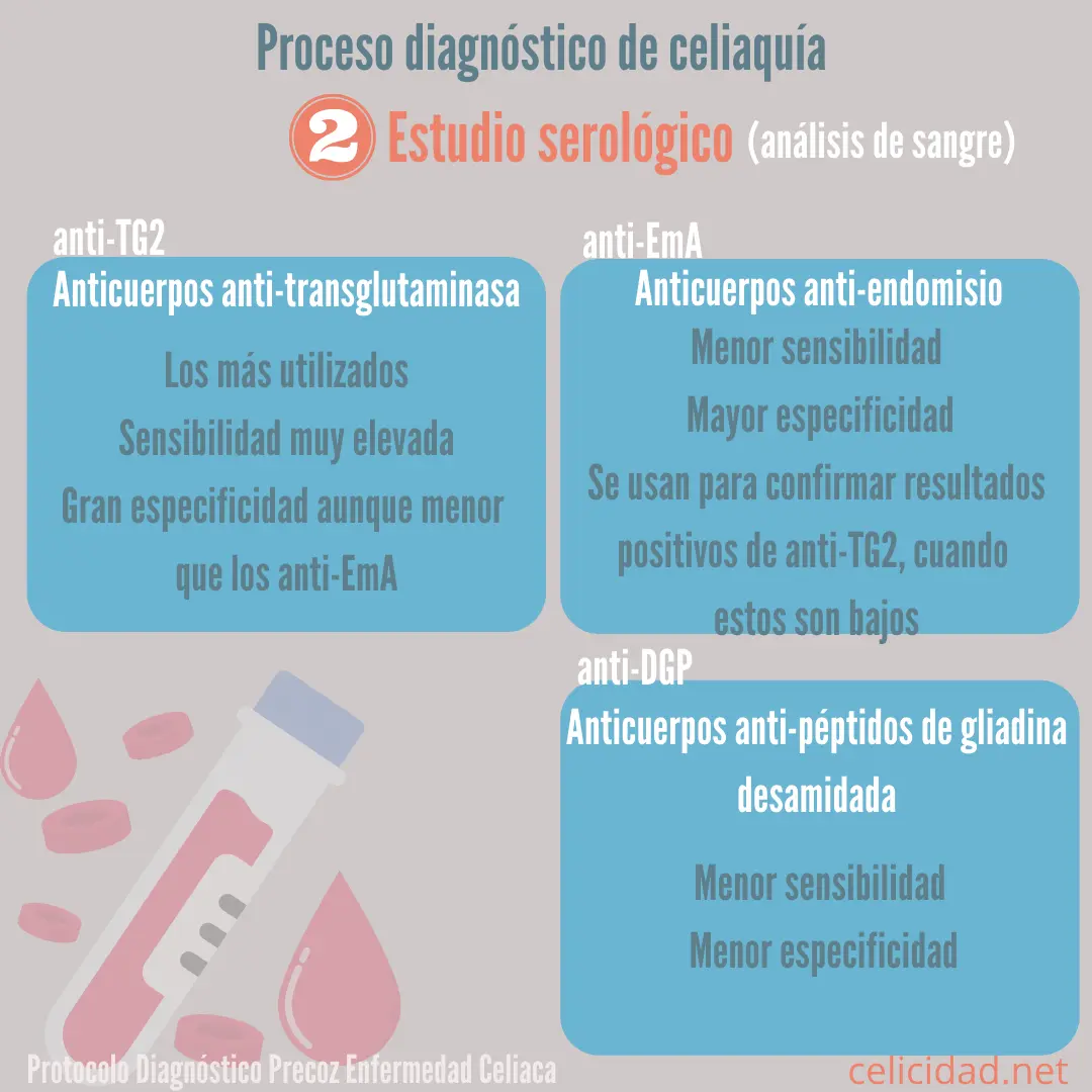 Anticuerpos Antiendomisio IgA: Guía Completa para la Detección de la Enfermedad Celíaca - Qué es anti-endomisio IgA positivo endomisio anticuerpos iga - Qué es anti-endomisio IgA positivo
