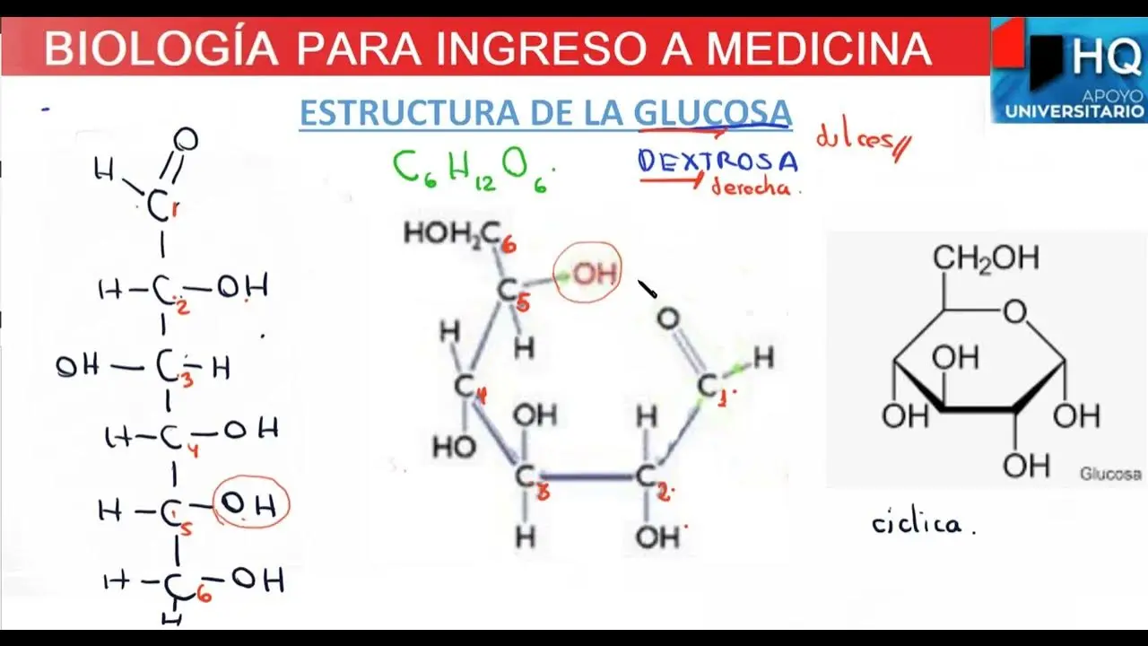 formula quimica de la glucosa - Qué es C6H12O6 en química
