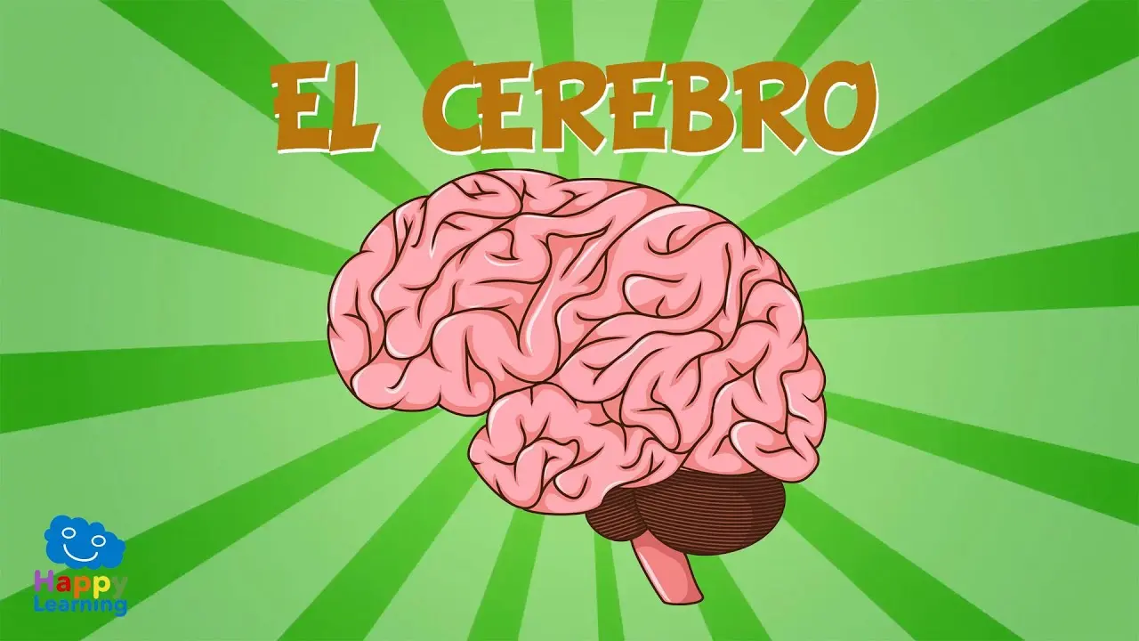 El Cerebro: Guía Completa para Niños y Padres - Qué es el cerebro y para qué sirve cerebro para niños - Qué es el cerebro y para qué sirve