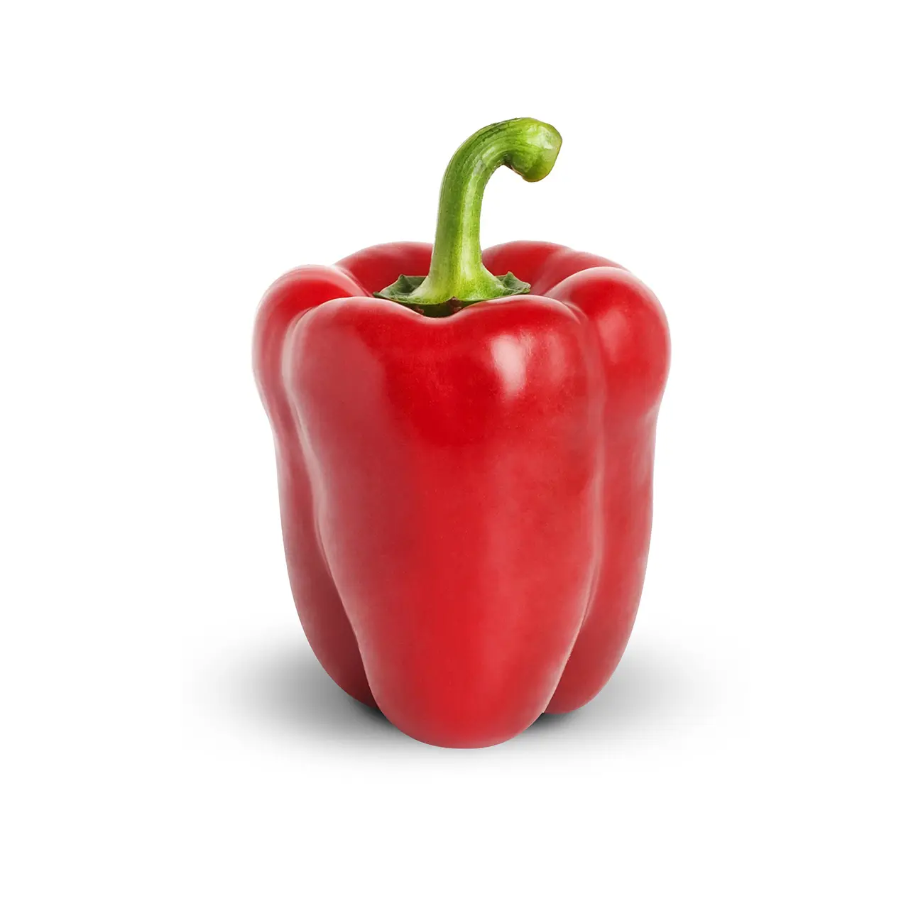 Capsicum: Una mirada al mundo de los pimientos - Qué es el extracto de Capsicum capsicum - Qué es el extracto de Capsicum