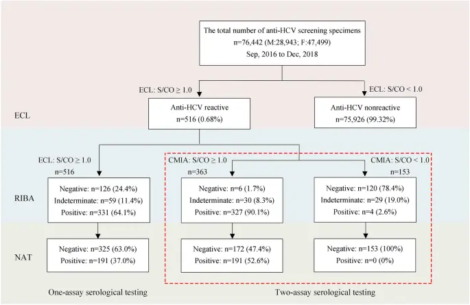 Anti-HCV Negativo: ¿Qué Significa y Cómo Interpretar los Resultados? - Qué es el HCV positivo anti hcv no reactivo - Qué es el HCV positivo