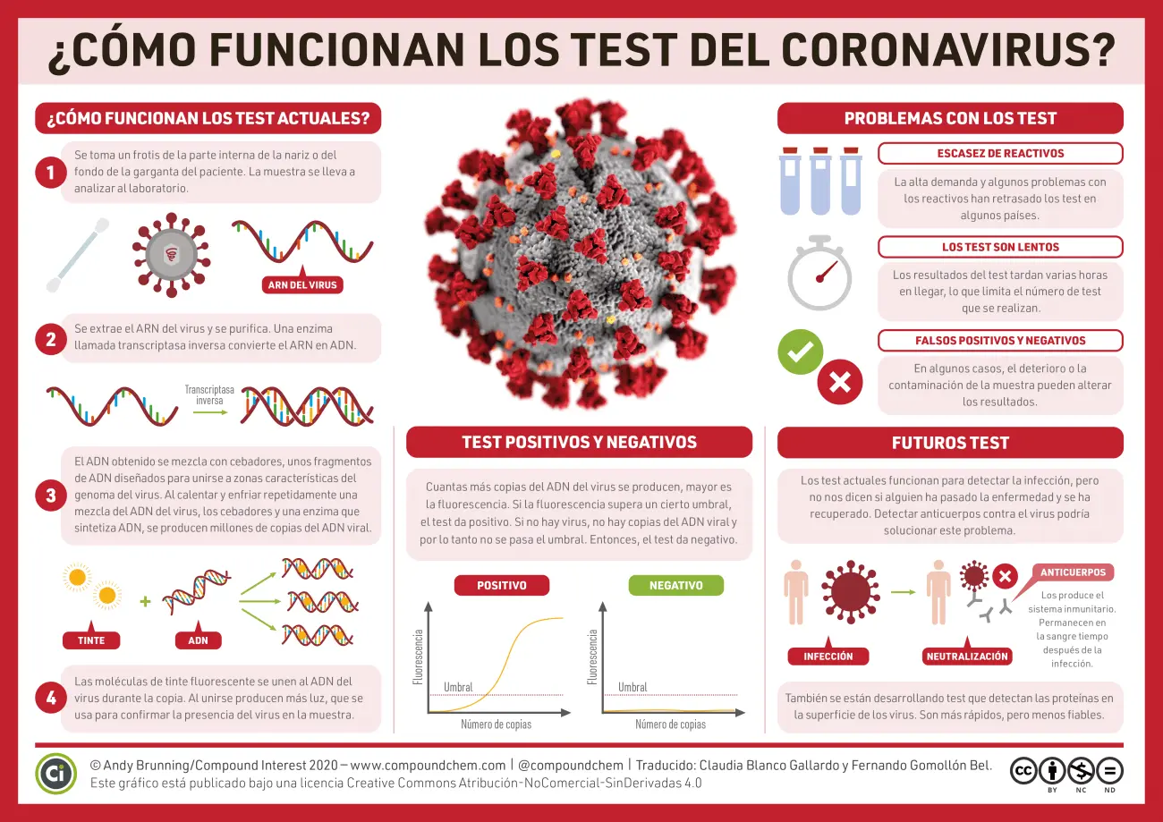 PCR: La prueba de amplificación de ácidos nucleicos - Qué es el procedimiento PCR como se hace el pcr - Qué es el procedimiento PCR