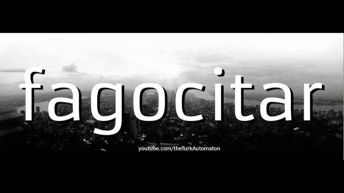 fagocitar - Qué es fagocitar sinónimo