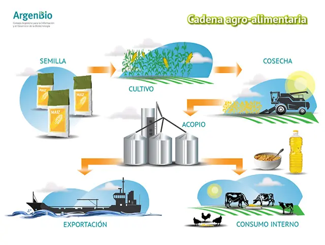 Biotecnología en Argentina: 25 años de Cultivos Transgénicos y sus Beneficios - Qué es la biotecnología argenbio - Qué es la biotecnología