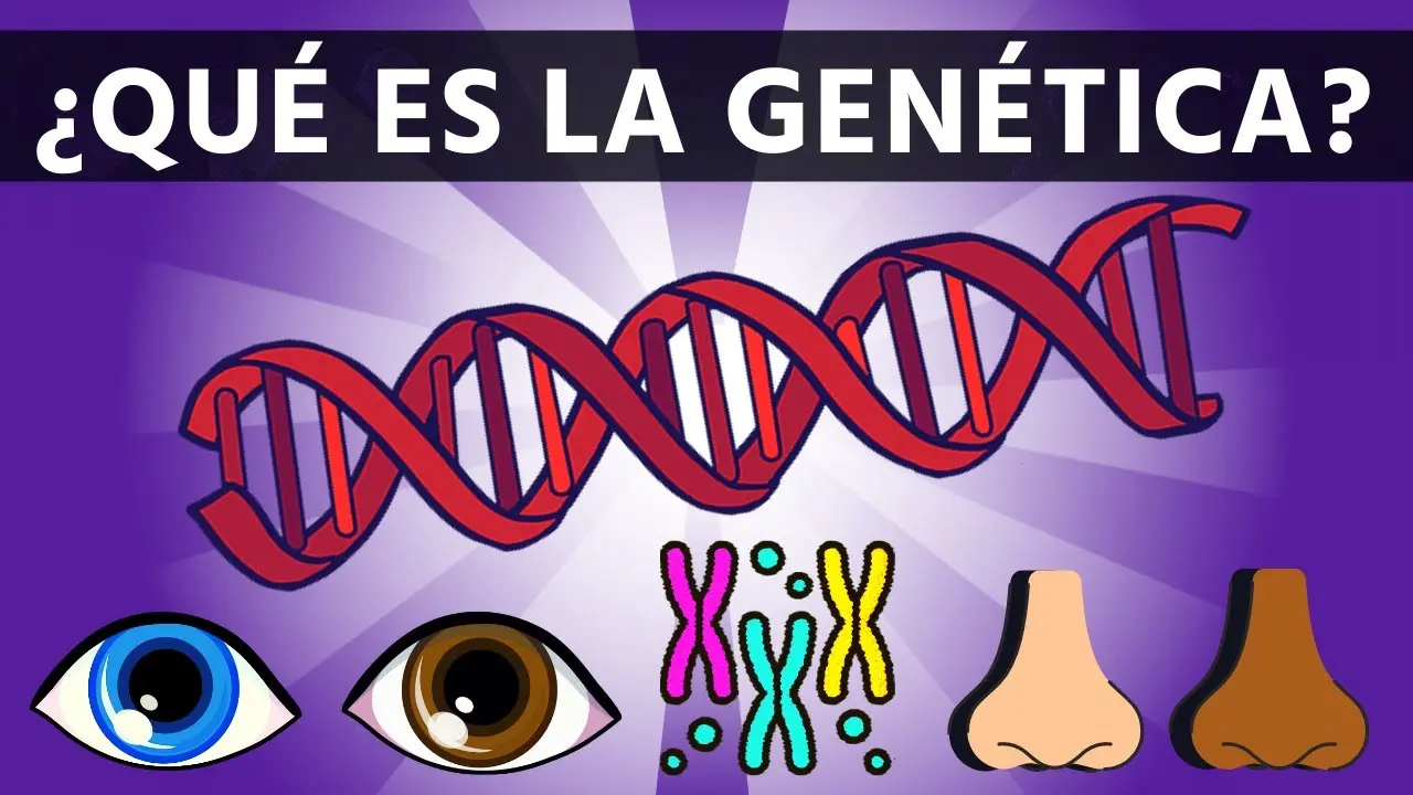Genética Humana: Un Viaje al Interior de la Herencia - Qué es la genética y por qué es importante para el ser humano que es la genetica humana - Qué es la genética y por qué es importante para el ser humano