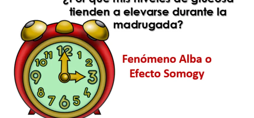 Hiperglucemia Nocturna: Entendiendo los Niveles Altos de Azúcar en Sangre Durante la Noche - Qué es la hiperglucemia nocturna hiperglucemia nocturna - Qué es la hiperglucemia nocturna