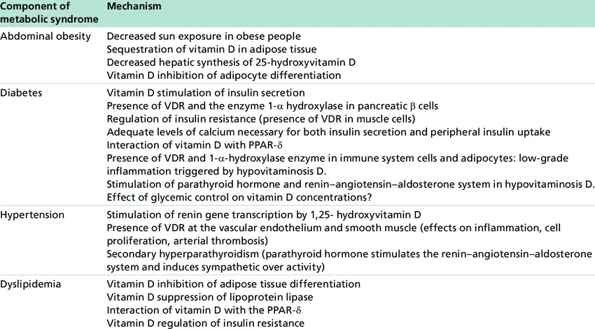 Hipovitaminosis: Causas, Síntomas y Tratamiento - Qué es la hipovitaminosis hipovitaminosis - Qué es la hipovitaminosis