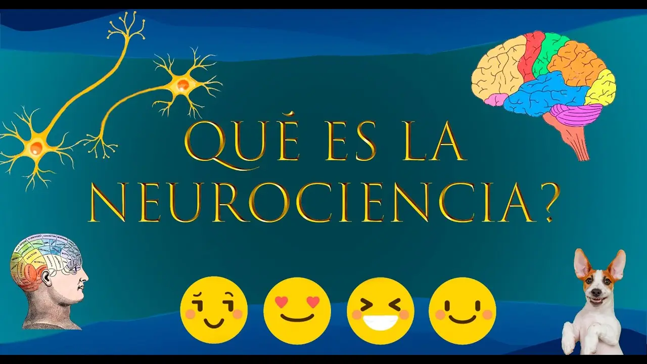 Neurociencia: Explorando el Complejo Mundo del Cerebro - Qué es la neurociencia y en qué consiste que es la neurociencia - Qué es la neurociencia y en qué consiste