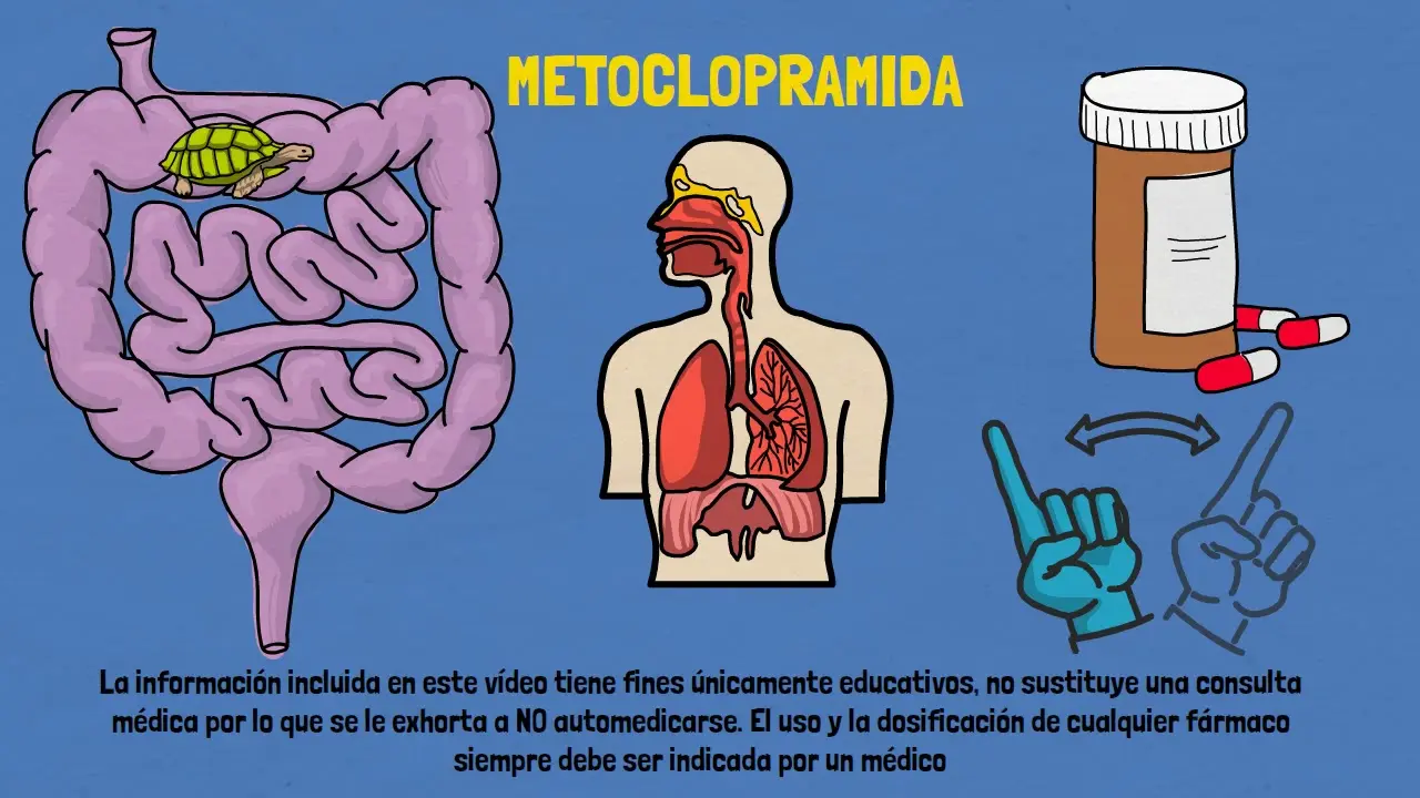 Rilaquin Metoclopramida: ¿Qué es y para qué sirve? - Qué es rilaquin metoclopramida rilaquin metoclopramida - Qué es rilaquin metoclopramida