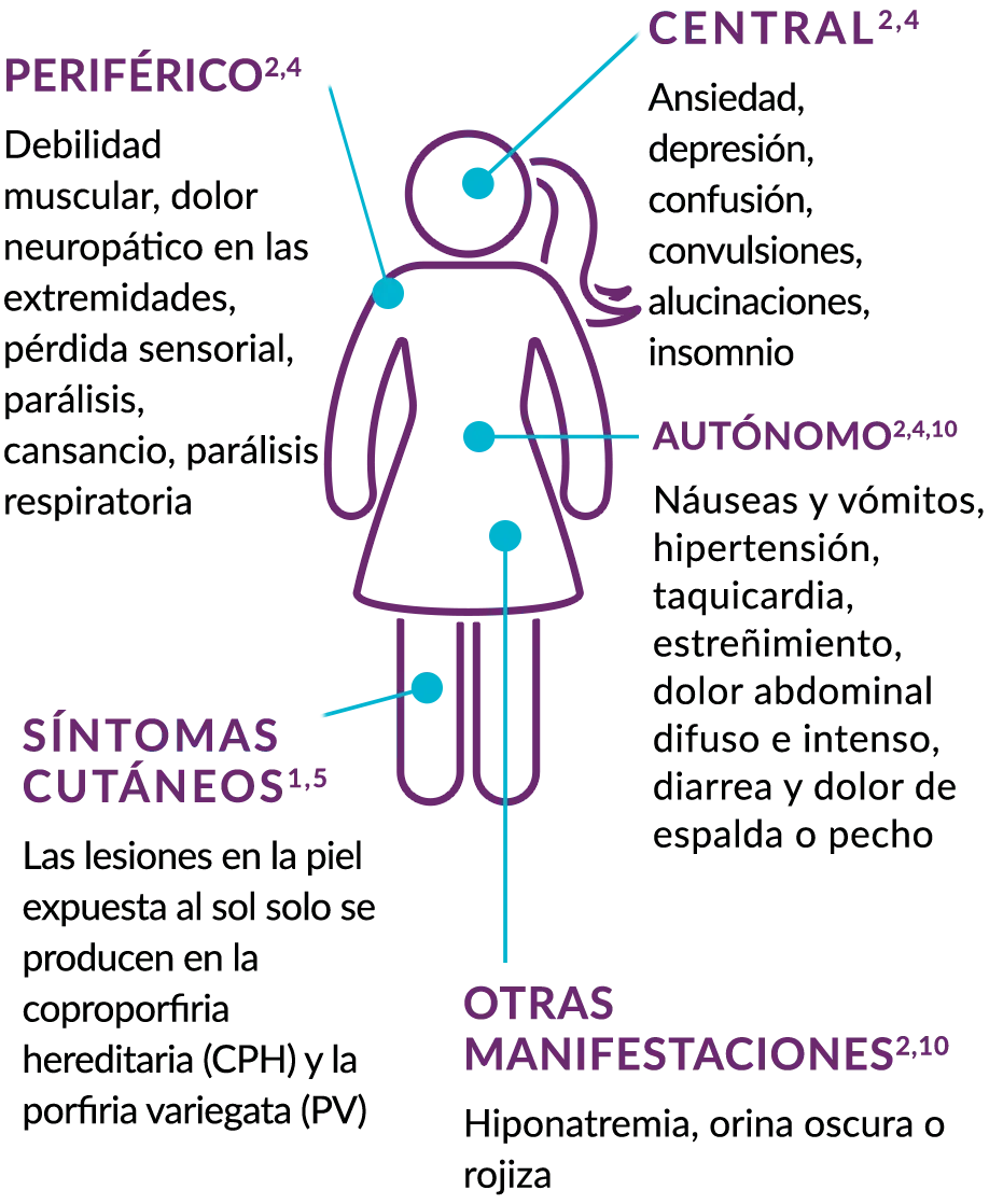 Porfiria: Síntomas, Diagnóstico y Cómo Vivir con Esta Afección - Qué es una crisis de porfiria sintomas de porfiria - Qué es una crisis de porfiria