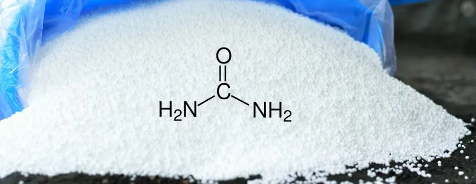 Urea: el fertilizante nitrogenado más utilizado - Qué es y para qué sirve la urea urea - Qué es y para qué sirve la urea