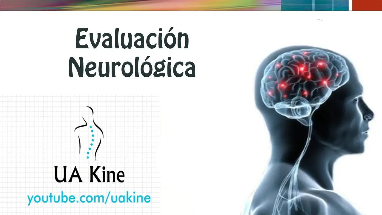 Evaluación Neurológica: Un análisis del sistema nervioso - Qué escala valora el estado neurológico valoracion neurologica - Qué escala valora el estado neurológico