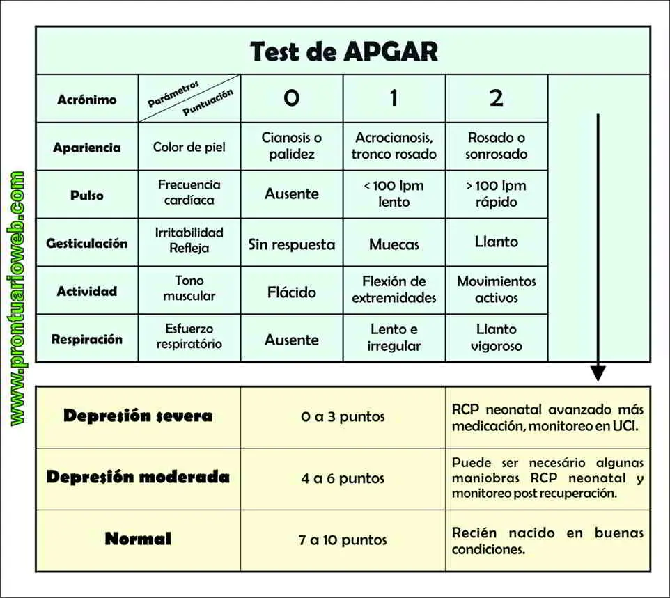 puntuacion de apgar - Qué evalúa el Apgar PDF