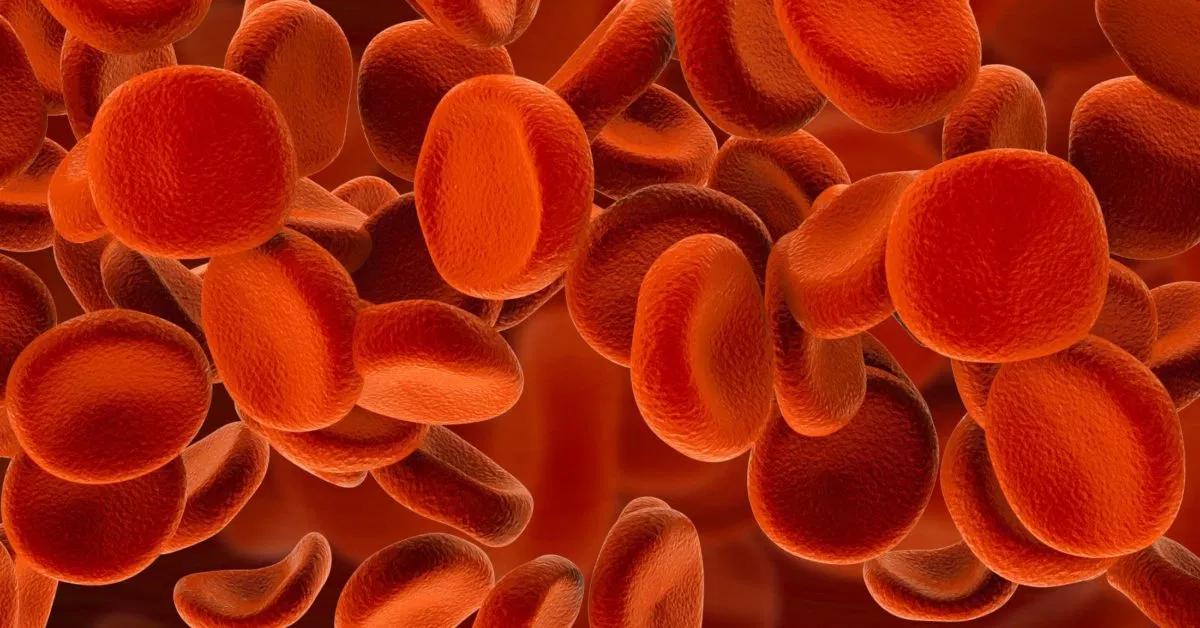 Hipervolemia: Causas, Síntomas y Tratamiento - Qué fármaco puede producir hipervolemia hipervolemia - Qué fármaco puede producir hipervolemia
