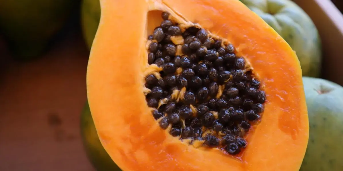 Alimentos bajos en fibra: qué comer cuando la fibra no es tu amiga - Qué fruta tiene menos fibra alimentos bajos en fibra - Qué fruta tiene menos fibra