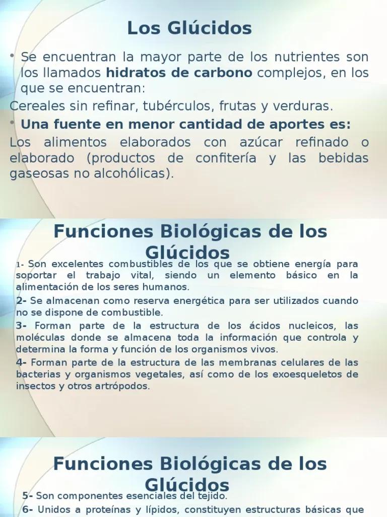 Funciones de los Glúcidos en las Membranas Celulares - Qué función cumplen los glúcidos en la membrana que funciones cumplen los glucidos - Qué función cumplen los glúcidos en la membrana