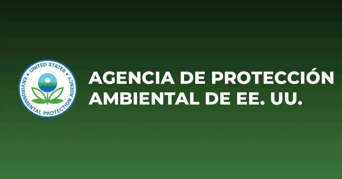 Para qué sirve el vapor de eucalipto: Beneficios y precauciones - Qué hace el humo de eucalipto para que sirve el vapor de eucalipto - Qué hace el humo de eucalipto